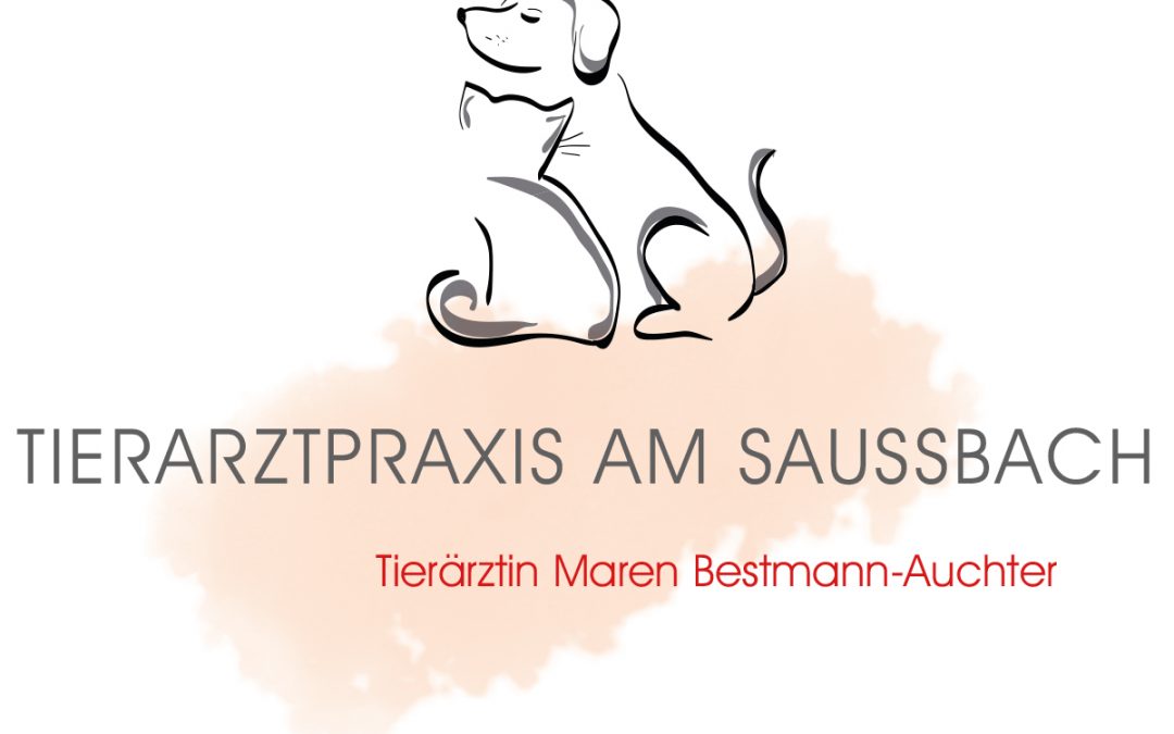 Vorlage – bitte nicht verwenden, sondern duplizieren