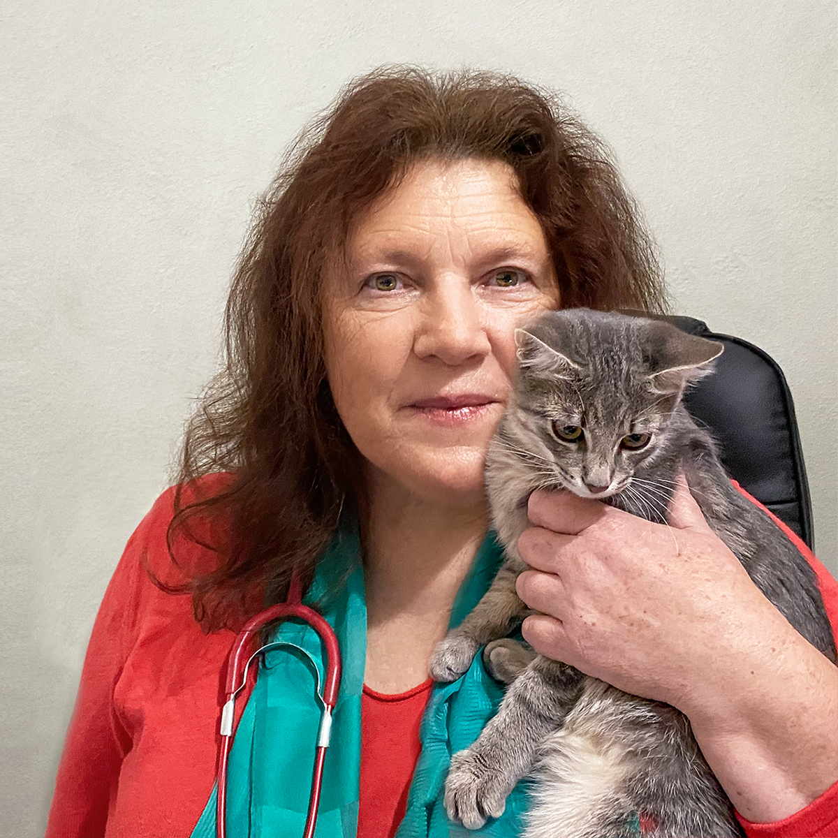 Tierärztin Maren Bestmann-Auchter in Grafenau bietet jetzt auch tierärztliche Online-Beratungen