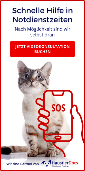 Notdienst Videoberatung: Haustierdocs